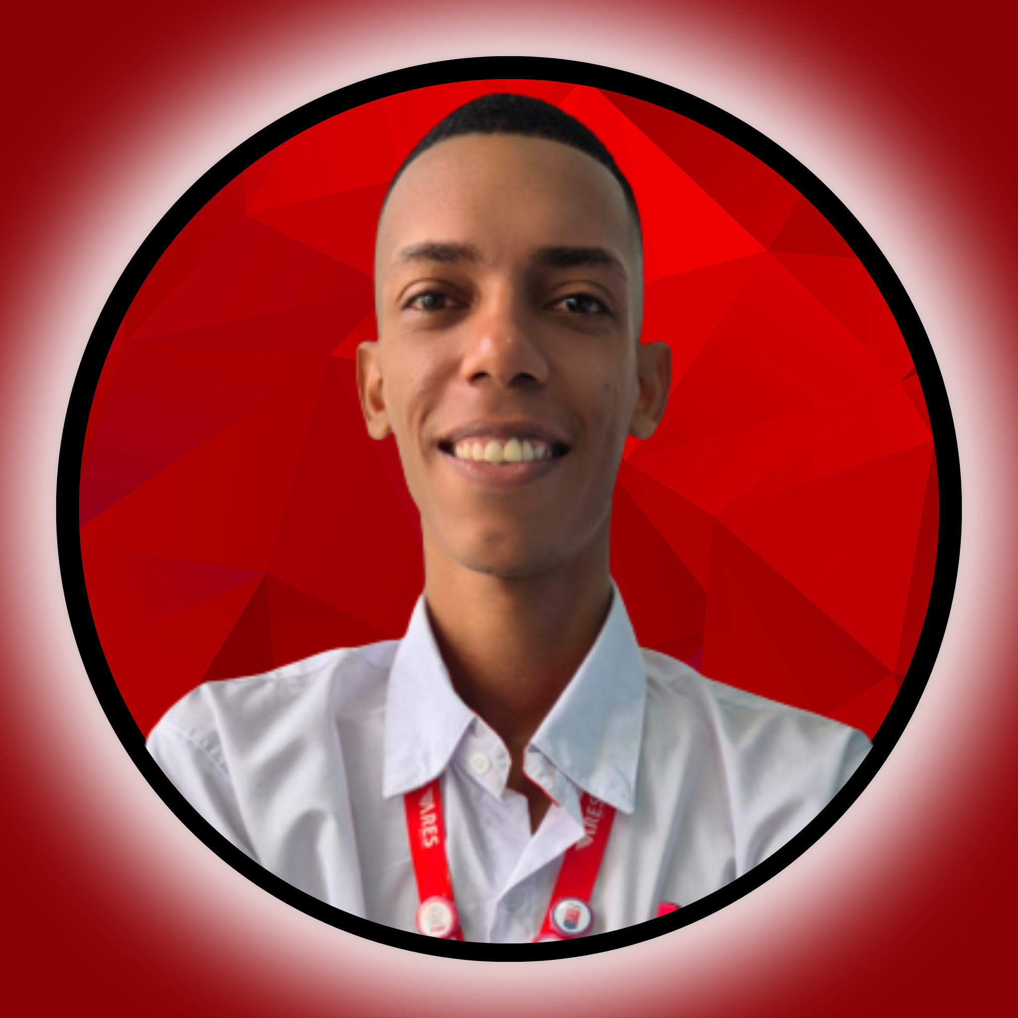 Arlisson — Consultor Honda